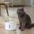 Automatic Cat Water Fountain with LED Lighting