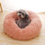 Warm Donut Bed
