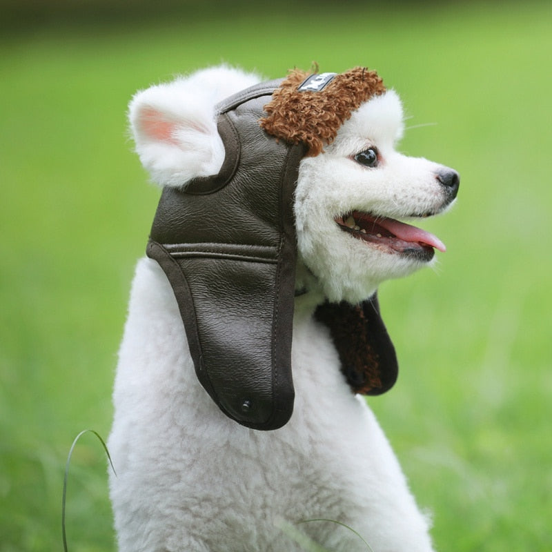Warm Dog Pilot Hat