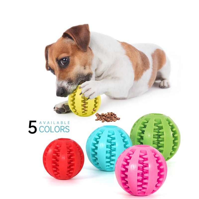 Chew Ball Toy for Dog
